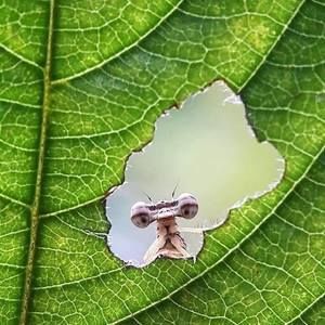 Meet your Posher, Kathie